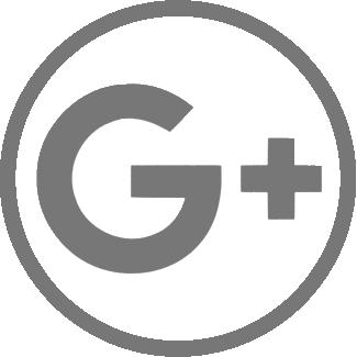 Google +